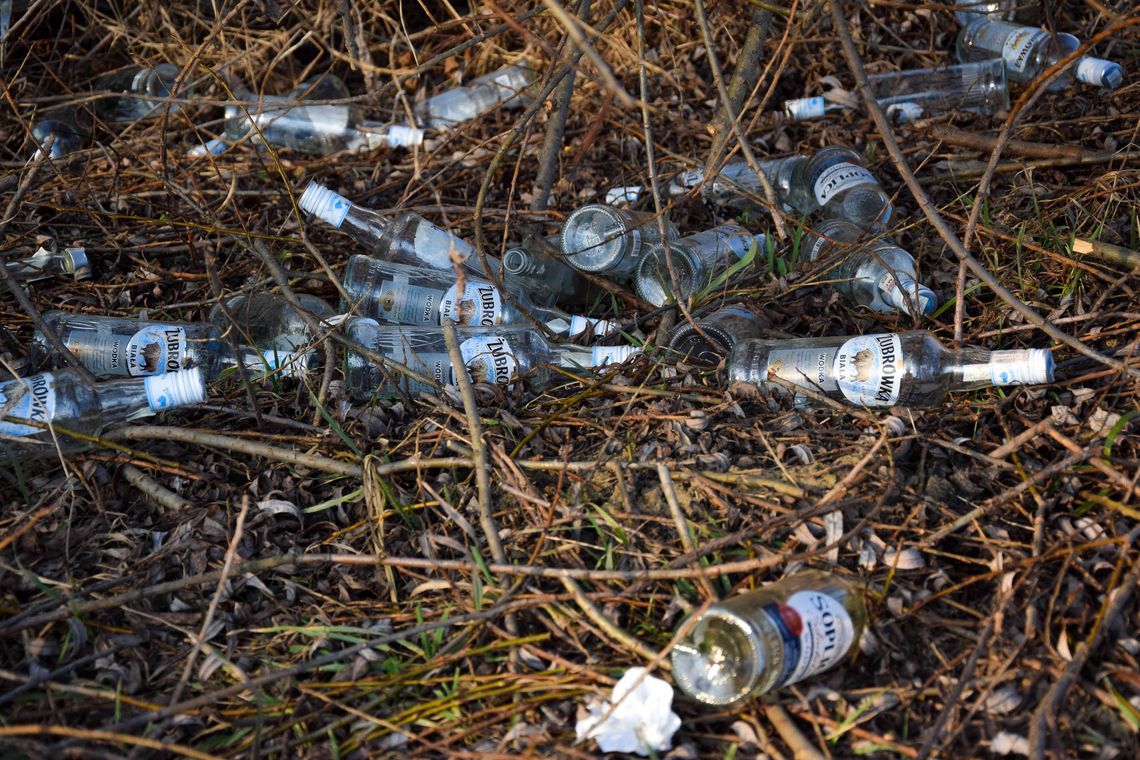 Zdjęcie przedstawia butelki po alkoholu leżące w krzakach