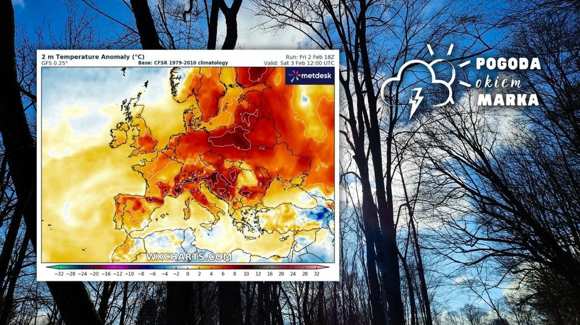 drzewa a za nimi przebłyskujące słońce