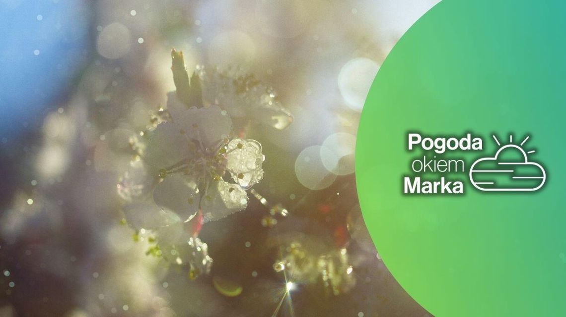 Sobota z umiarkowaną pogodą i zachmurzeniem | Prognoza pogody na dziś - haloagorlice.info zdjęcie przedstawia krople deszczu w słońcu