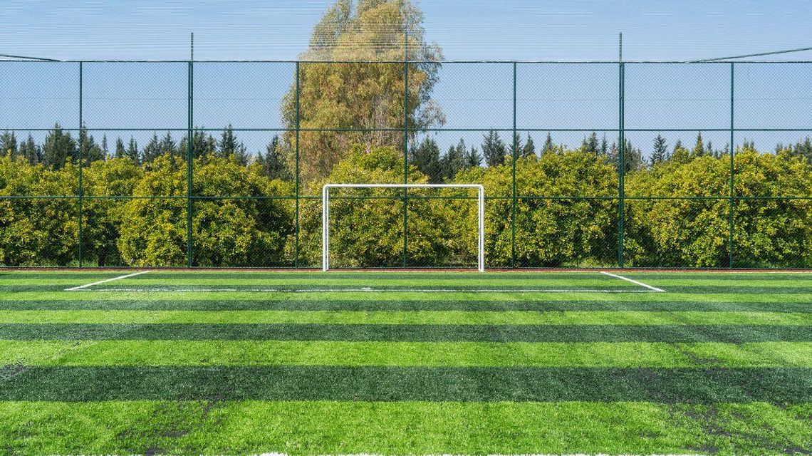 Zdjęcie przedstawia boisko sportowe