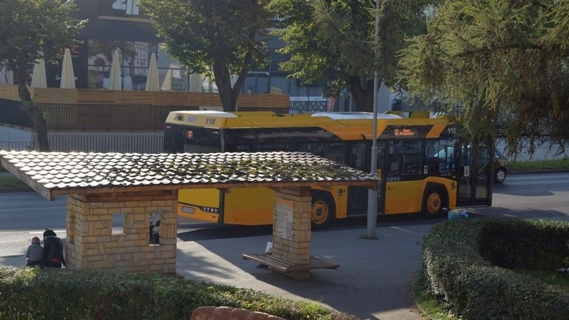 Sprawdź rozkład jazdy autobusów z Wysowej-Zdroju do Tarnowa [ROZKŁAD JAZDY]