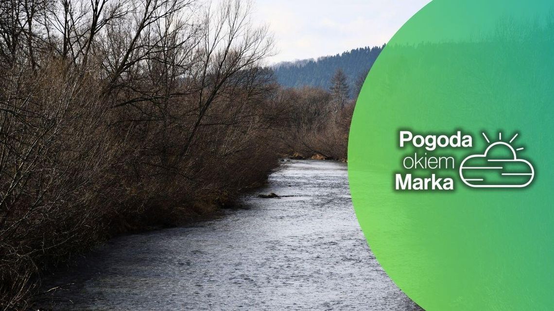 Środa bardzo ciepła, jak na tę porę roku | Prognoza pogody na dziś - halogorlice.info zdjęcie przedstawia rzekę i krzaki zwisające nad nią