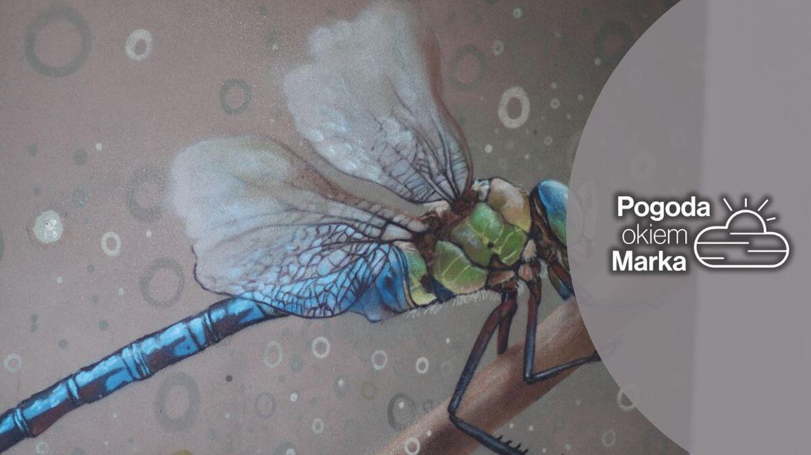 Środa cieplejsza, możliwe opady | Prognoza pogody na dziś - halogorlice.info zdjęcie przedstawia mural na ścianie