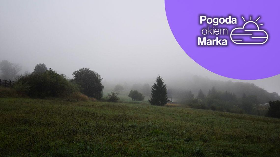 zdjęcie przedstawia zamgloną polanę