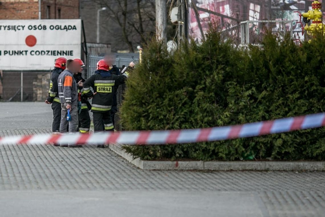 Strażacy i pogotowie gazowe w akcji