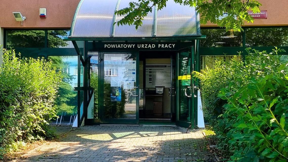 zdjęcie przedstawia wejście do budynku do którego prowadzi chodnik pomiędzy zielonymi krzewami