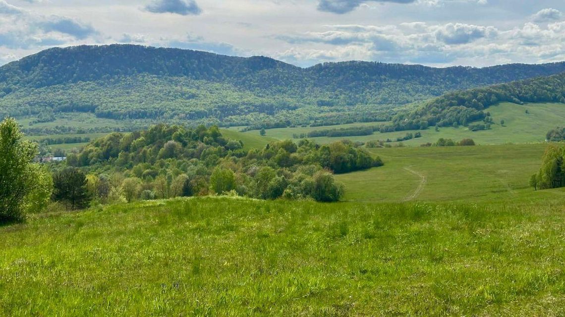 Tajemnice Beskidu Niskiego. Sprawdź, ile wiesz o pradawnych legendach Gorlic i okolic Zdjęcie przedstawia krajobraz Beskidu Niskiego