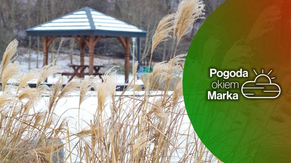 zdjęcie przedstawia trawę w tle śnieg i altanka