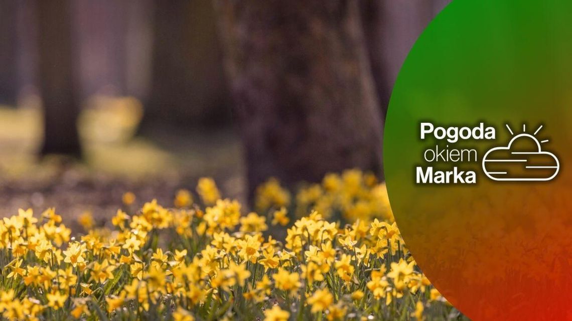 Temperatura prawie taka, jak w Laponii | Prognoza pogody na dziś - halogorlice.info Temperatura prawie taka, jak w Laponii | Prognoza pogody na dziś - halogorlice.info