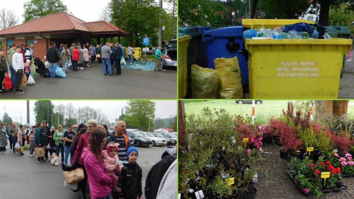 Tłumnie przynosili odpady na piknik, a tam otrzymali za nie sadzonki [FOTO]