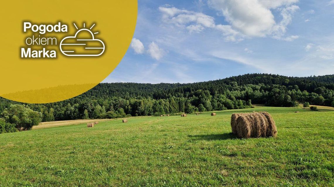 zdjęcie przedstawia balę słomy na polu