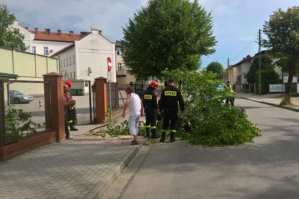 To cud, że nikt nie zginął