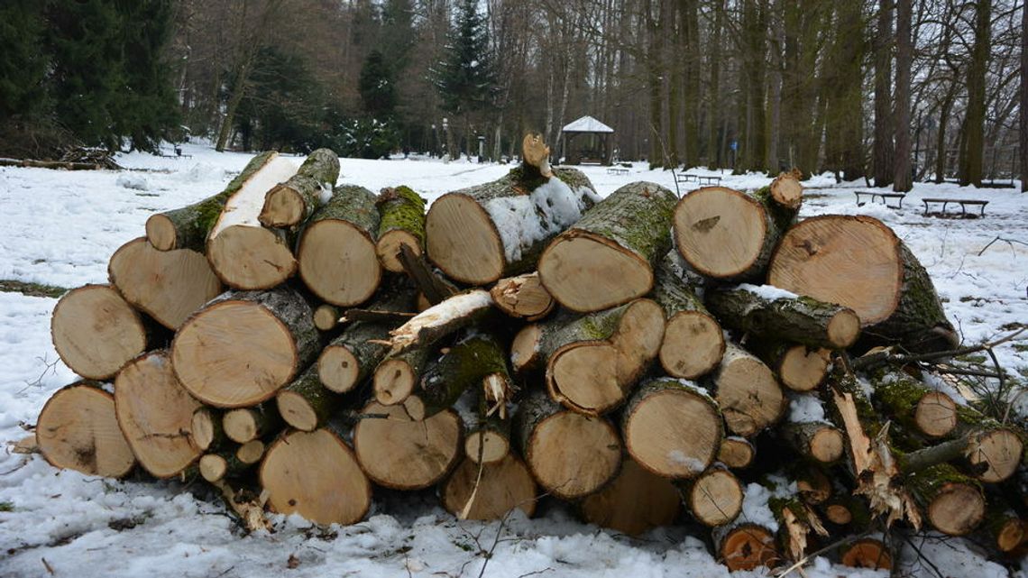 Trwa sprzątanie Parku Miejskiego po ostatnich opadach śniegu [FOTO]