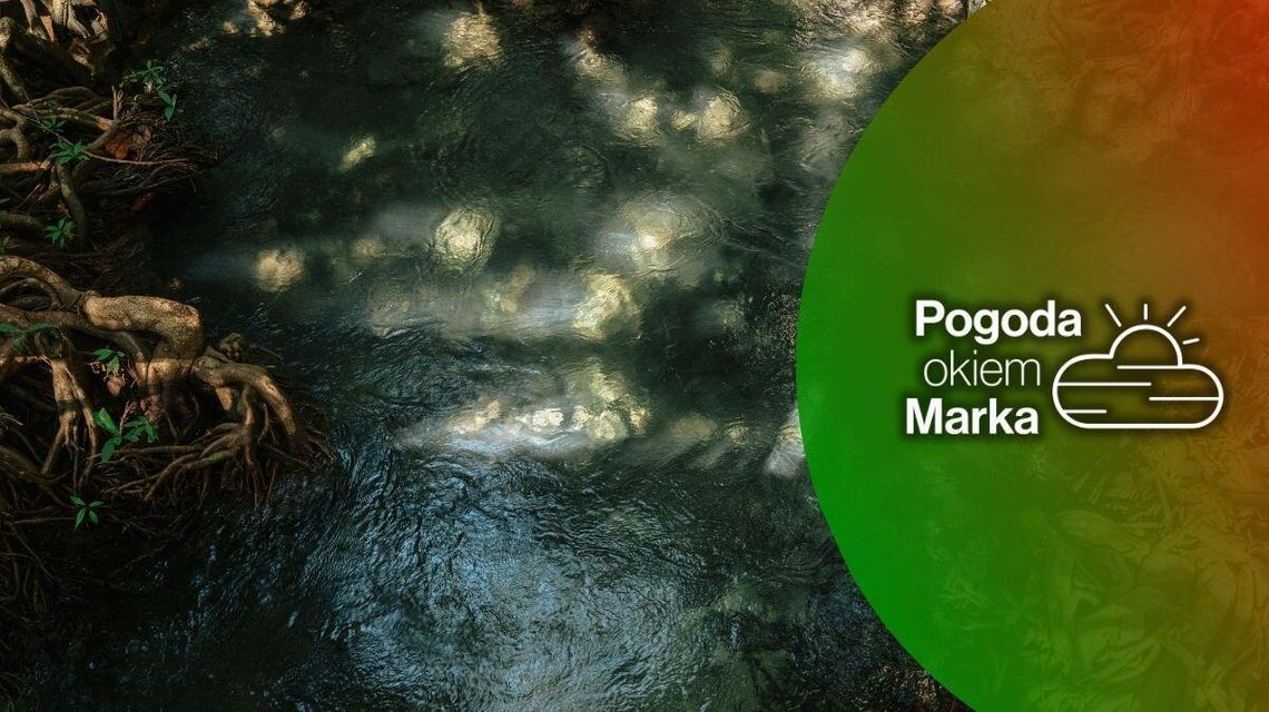 Tydzień zacznie się dobrze | Prognoza pogody na dziś - halogorlice.info strumyk między konarami drzew