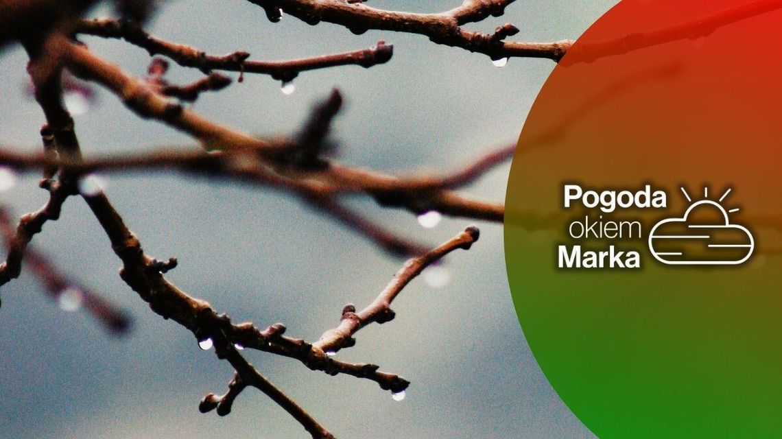 We środę bez szału z temperaturą | Prognoza pogody na dziś - halogorlice.info zdjęcie przedstawia gałązki drzewa