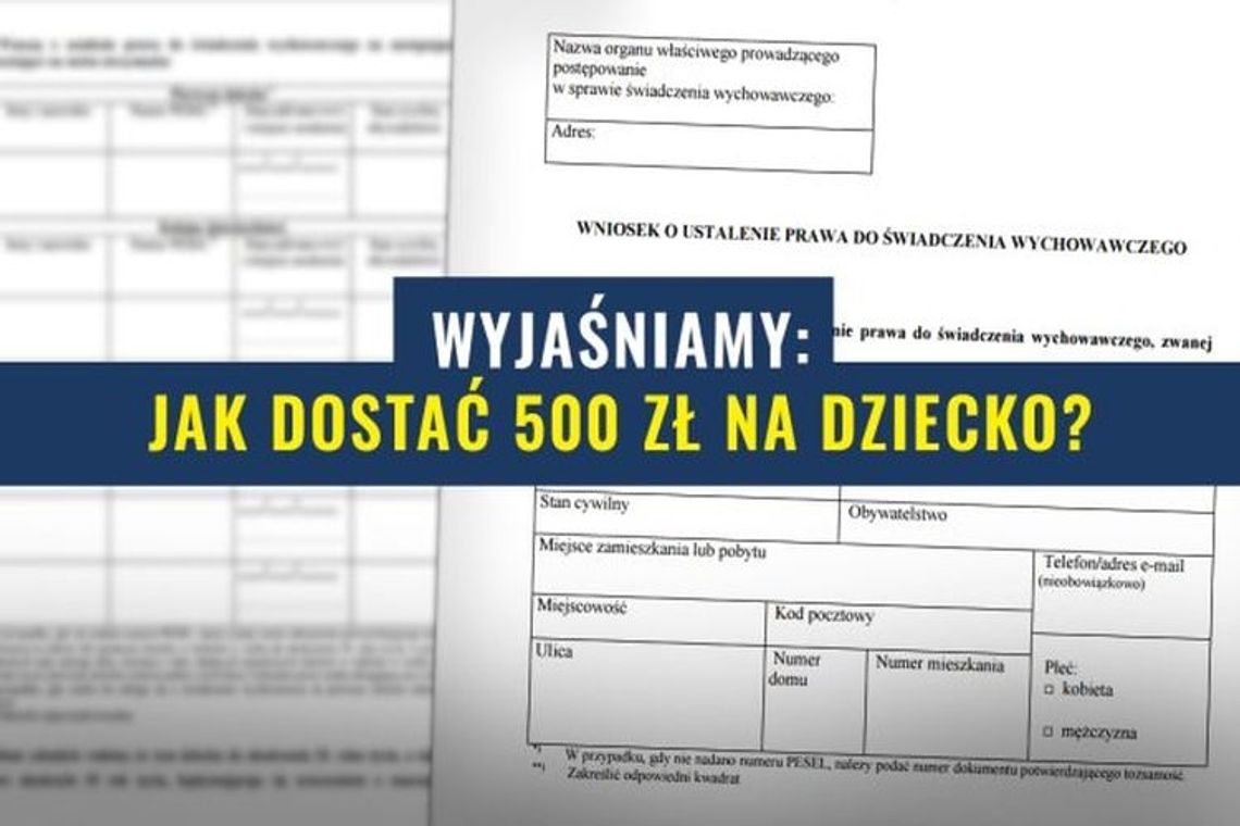 Wniosek 500 Plus krok po kroku