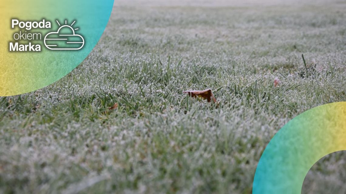 Wtorek z dobrą aurą | Prognoza pogody na dziś - halogorlice.info liść na zmrożonej trawie