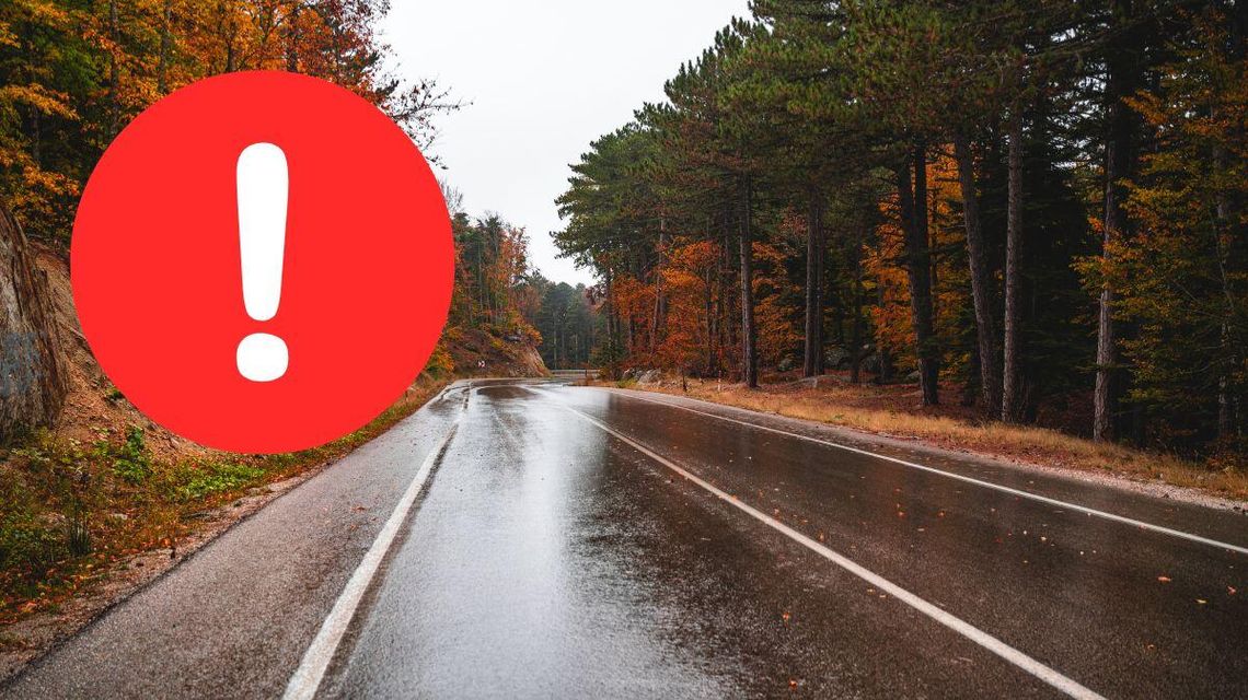 Zdjęcie przedstawia jesienną drogę wśród drzew z ikoną wykrzyknika