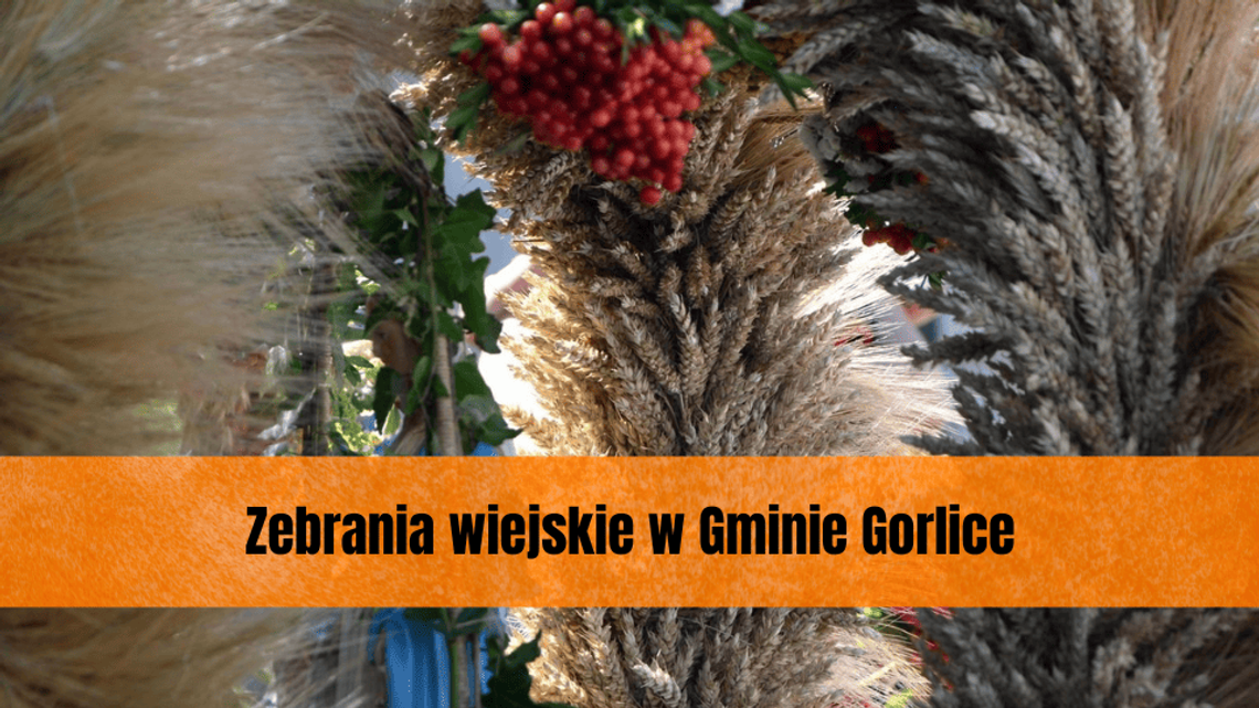 Zebrania wiejskie w Gminie Gorlice. Kiedy, gdzie?