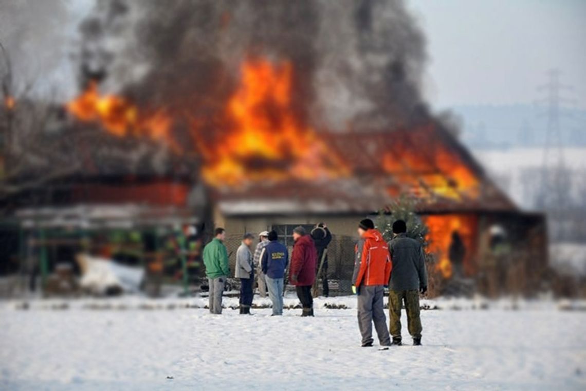 Zgodnie z przysłowiem: kibic z dala ...