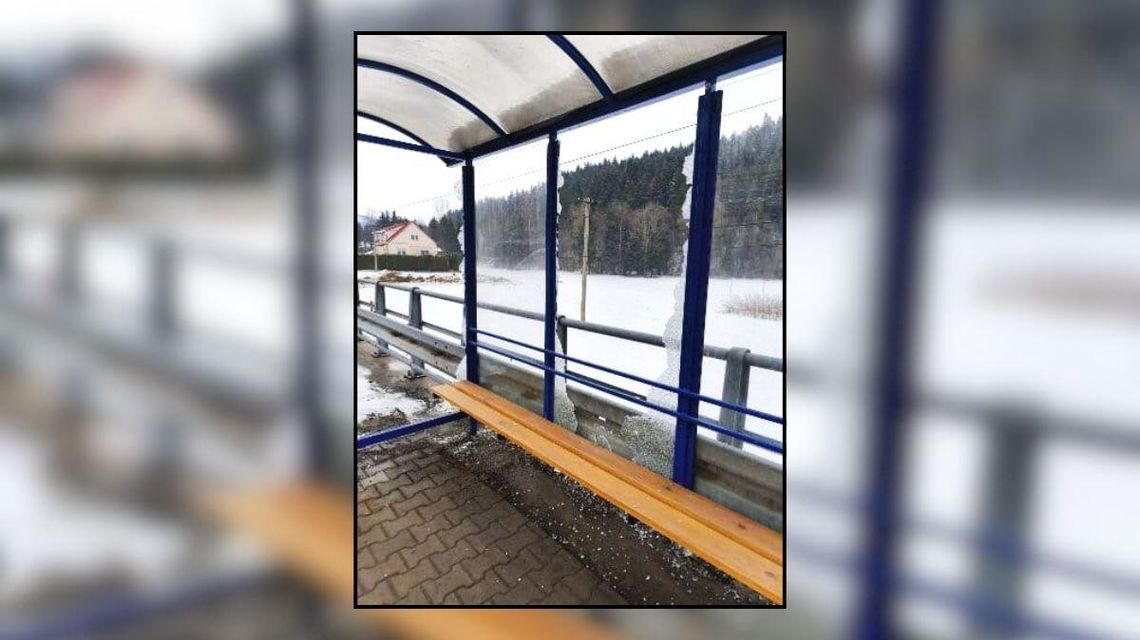 Zdjęcie przedstawia uszkodzoną szybę na przystanku