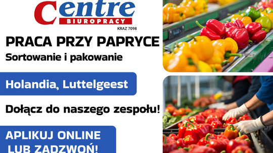 Pakowanie i sortowanie papryki (k/m) Oferta pracy w Holandii