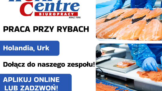 Pakowanie ryb (k/m) Oferta pracy w Holandii