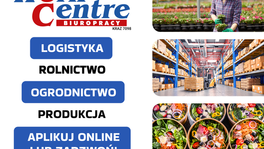 PRACA W HOLANDII - RUSZYŁY ZAPISY NA PRACE SEZONOWE 2026