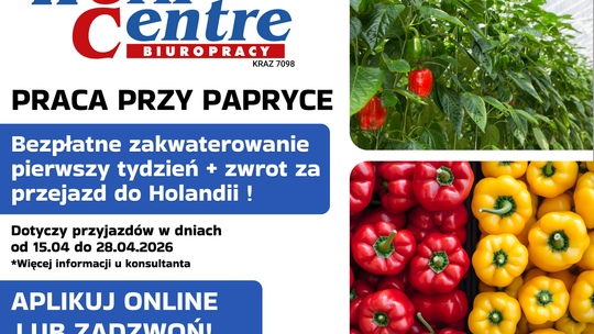 Ścinanie i sortowanie papryki (k/m) Oferta pracy w Holandii