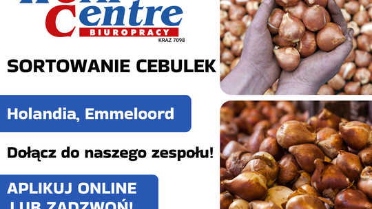Sortowanie cebulek kwiatowych (k/m) Oferta pracy w Holandii