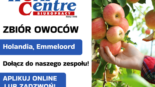 Zbiory owoców w sadzie (k/m) Oferta pracy w Holandii