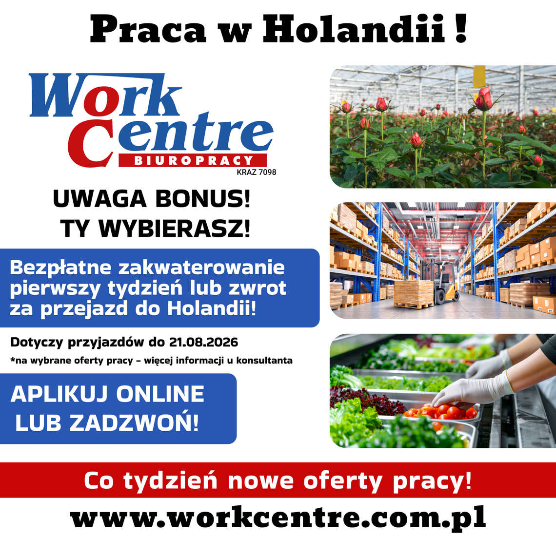 Oferta pracy w Holandii - BONUS do 21. 08. 2026 Oferta pracy w Holandii - BONUS do 21. 08. 2026