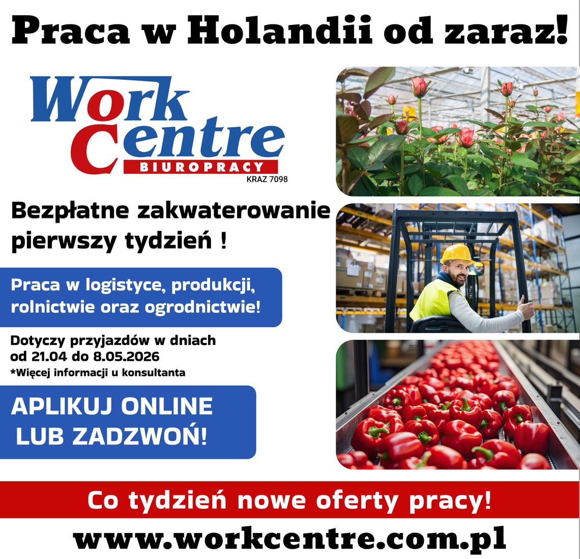 Oferty Pracy w Holandii - BEZPŁATNE ZAKWATEROWANIE! (k/m)