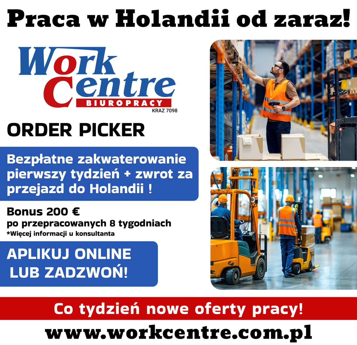 Order picker (k/m) Oferta pracy w Holandii