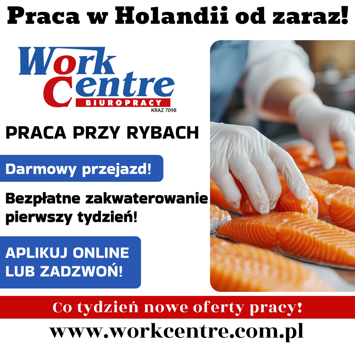 Pakowanie ryb (k/m) Oferta pracy w Holandii