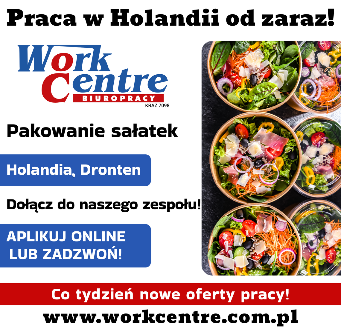 Pakowanie sałatek (k/m) Oferta pracy w Holandii Pakowanie sałatek (k/m) Oferta pracy w Holandii