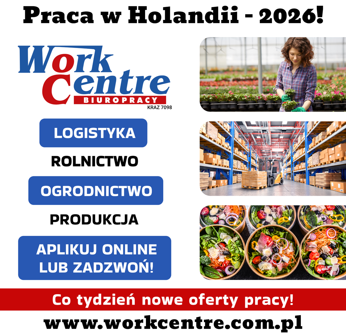 PRACA W HOLANDII - RUSZYŁY ZAPISY NA PRACE SEZONOWE 2026