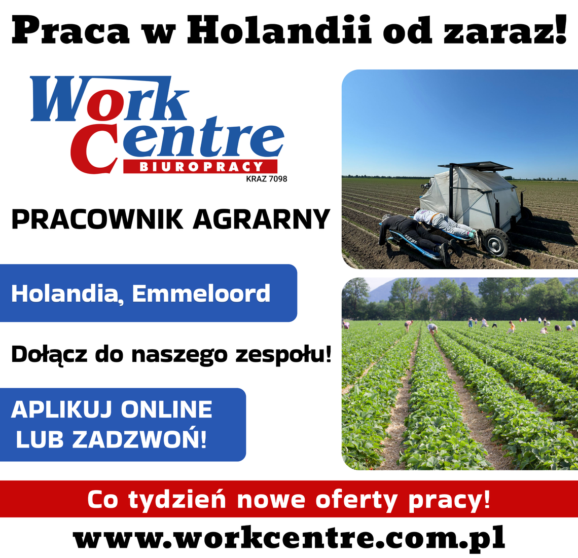 Pracownik agrarny (k/m) Oferta pracy w Holandii Pracownik agrarny (k/m) Oferta pracy w Holandii