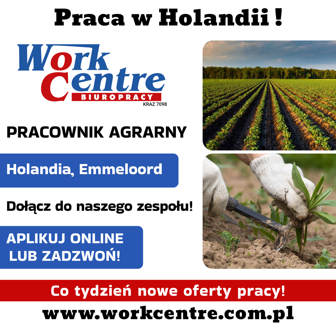 Pracownik agrarny (k/m) Oferta pracy w Holandii Pracownik agrarny (k/m) Oferta pracy w Holandii