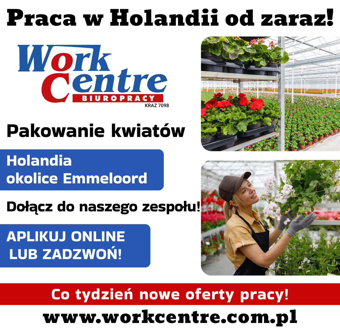 Uprawa i pielęgnacja kwiatów (k/m) Oferta pracy w Holandii
