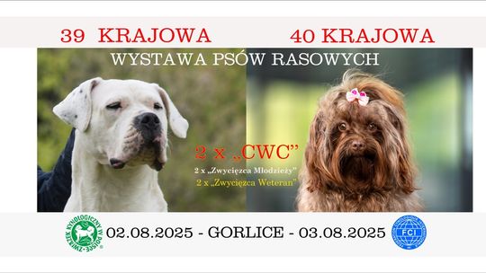 39. i 40. Krajowa Wystawa Psów Rasowych | halogorlice.info Plakat promujący wydarzenie Wystawa psów