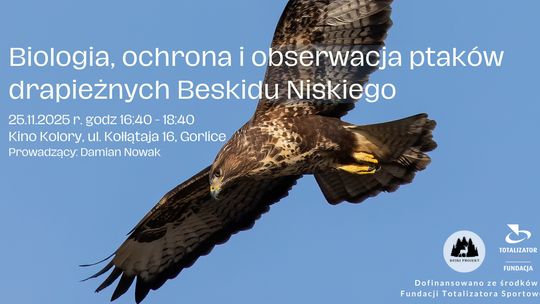 plakat zapowiadający wydarzenie pt. Prelekcja o ptakach drapieżnych Beskidu Niskiego