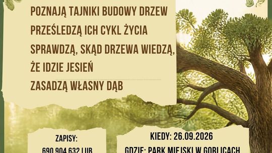 Co kryją drzewa? Zajęcia przyrodnicze dla dzieci | zapowiedzi wydarzeń - halogorlice.info