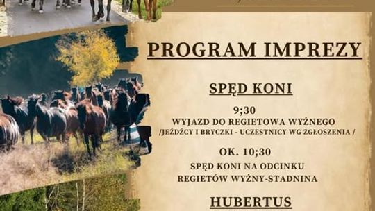 Dzień Koniarza w Regietowie. Spęd koni i Hubertus | zapowiedzi wydarzeń - halogorlice.info
