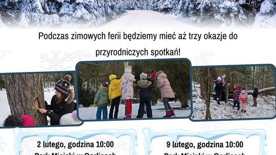 Dzikie Ferie z Dzikim Projektem | zapowiedzi wydarzeń - halogorlice.info Plakat zapowiadający wydarzenie - Dzikie Ferie z Dzikim Projektem