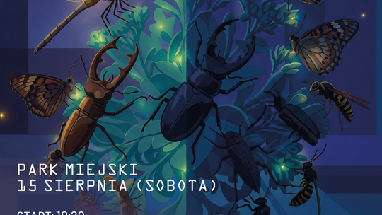 Gorlicka Noc Owadów | zapowiedzi wydarzeń - halogorlice.info