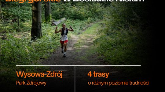 Plakat zapowiadający wydarzenie - IV Festiwal Pustelnika