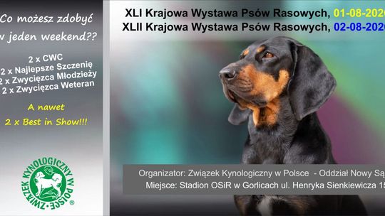 Zdjęcie przedstawia plakat zapowiadający wydarzenie - Krajowa Wystawa Psów Rasowych
