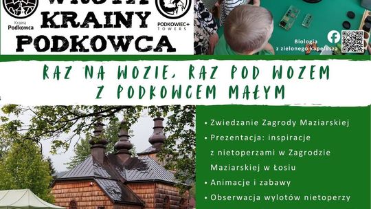 Noc z nietoperzami w Łosiu | zapowiedzi wydarzeń - halogorlice.info