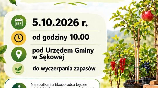 Sadzonki dla mieszkańców Sękowej | zapowiedzi wydarzeń - halogorlice.info